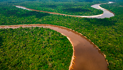 Just Transition Negotiations at COP: How We Arrived and How We Left Belém