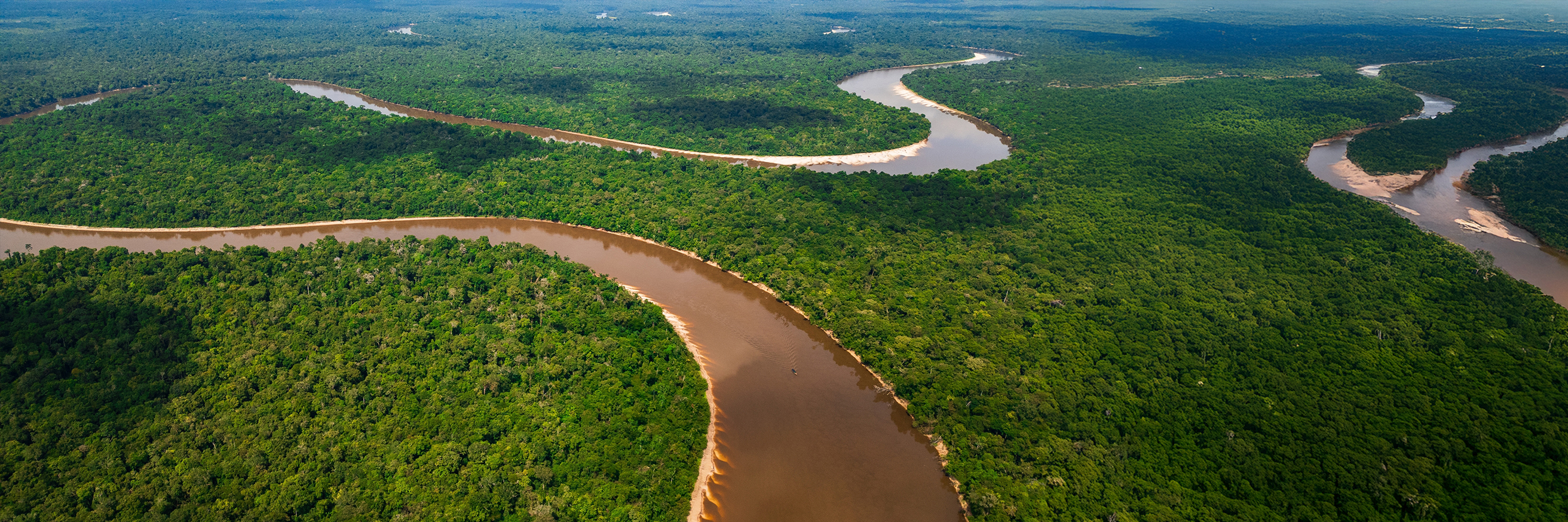 Just Transition Negotiations at COP: How We Arrived and How We Left Belém