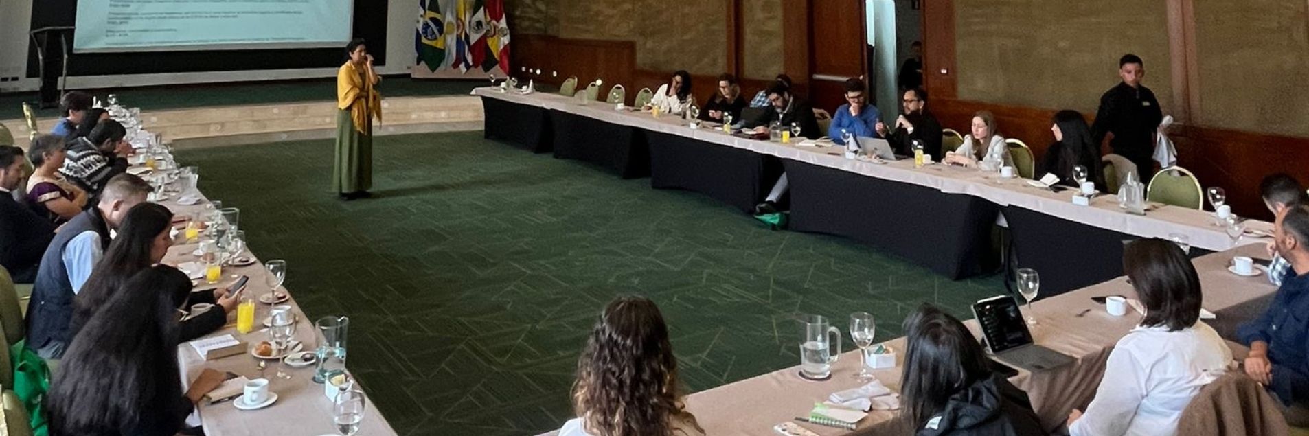 Annual Meeting of the Regional Group for a Just Energy Transition in Latin America and the Caribbean