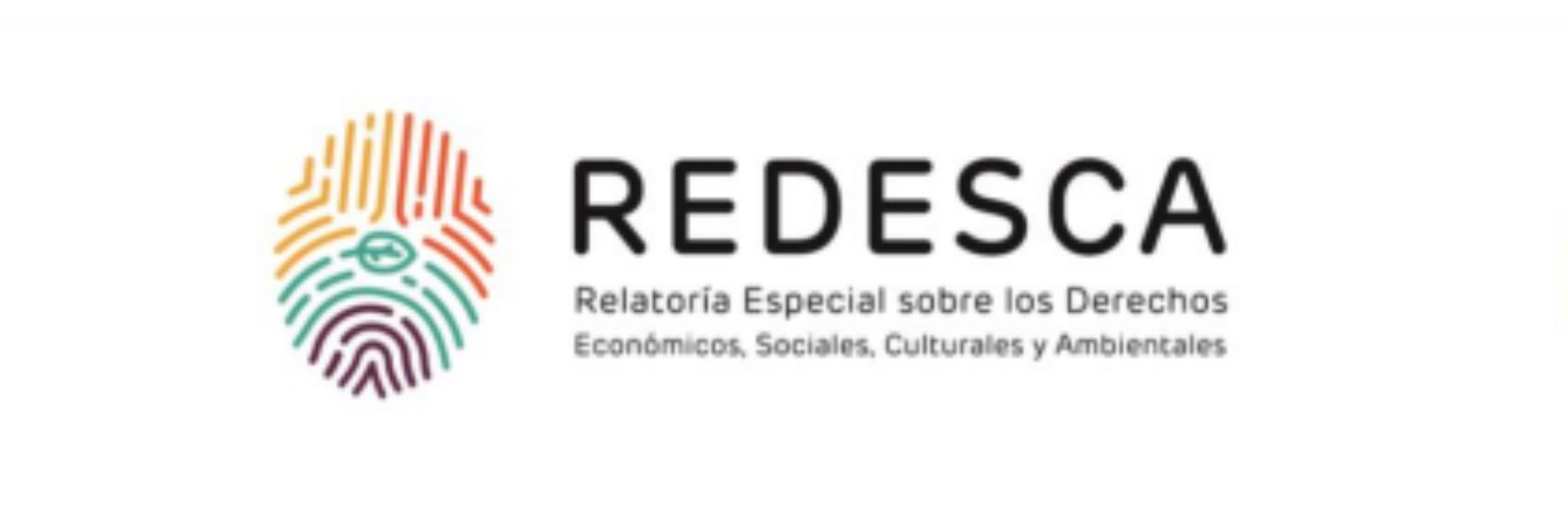 REDESCA calls for Human Rights to be integrated in International Reforms of Financial Architecture and Climate Financing