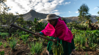 Value-Based and Human Rights Approaches To Address Climate Adaptation Issues for a Just GST Delivery